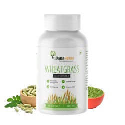 Wheatgrass capsule